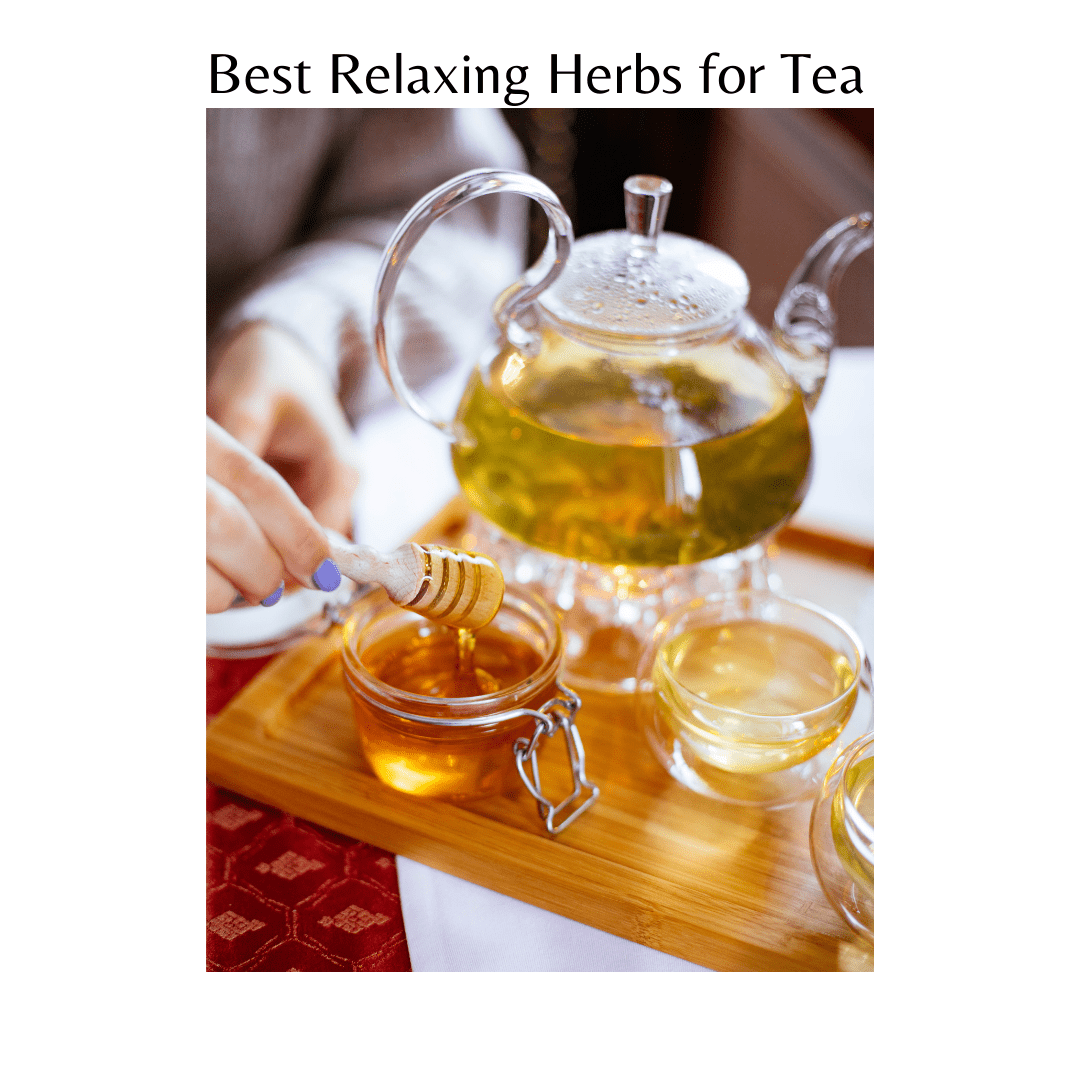 The Rooted Haven Best Relaxing Herbs for Tea