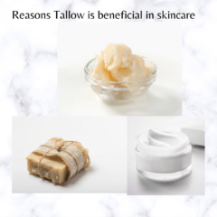 The Rooted Haven Reasons Tallow is beneficial in skincare