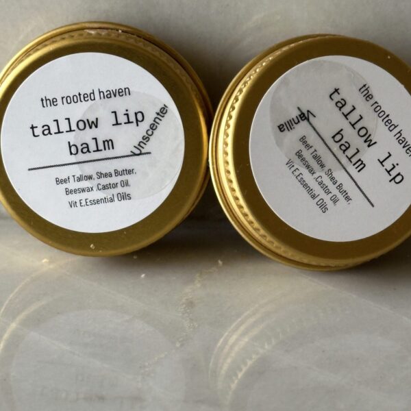 Tallow Lip Balm
